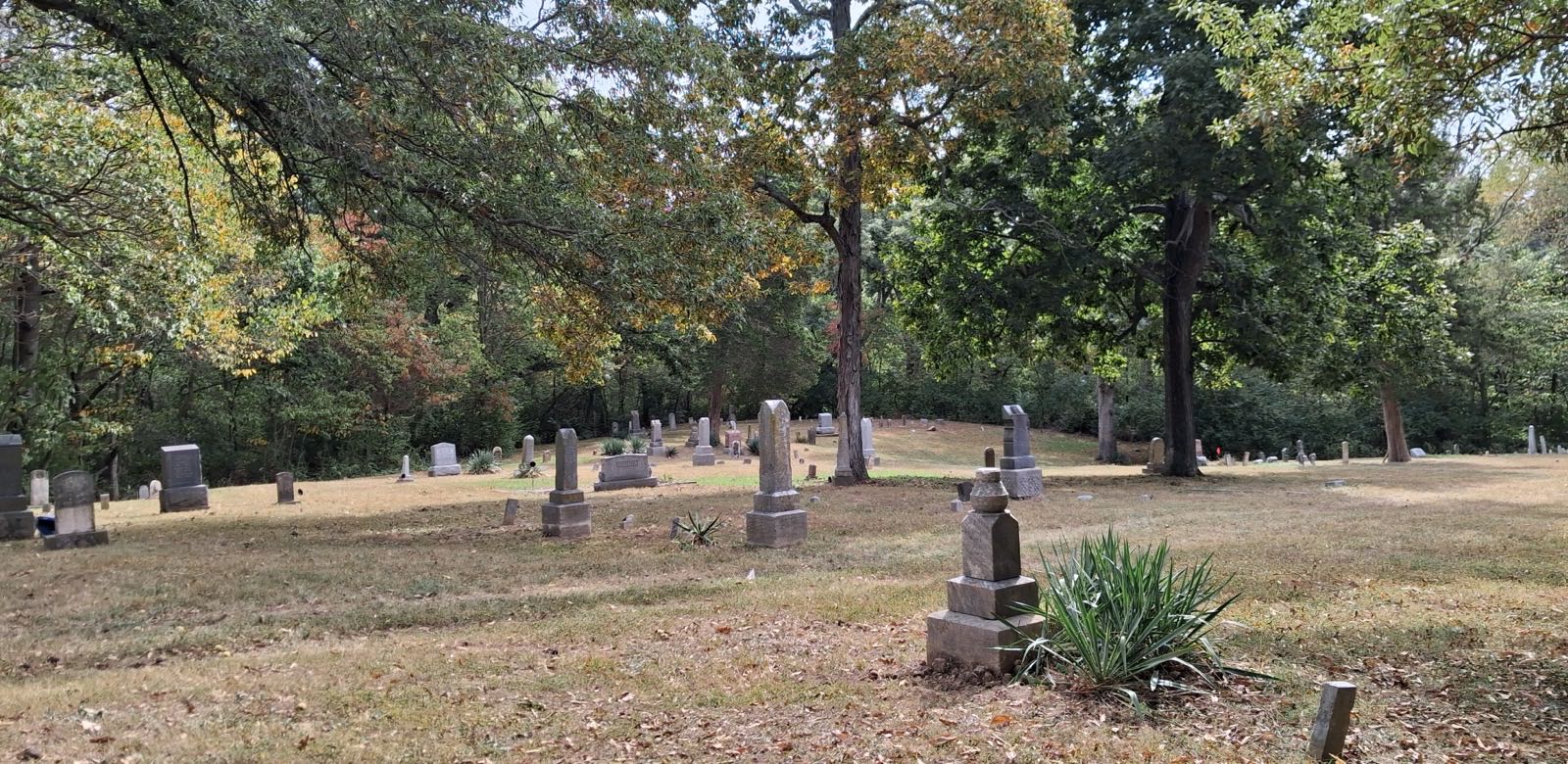 A wide view across Kinder Cemetery in early autumn: weathered stone obelisks and low markers standing in rows on dry, leaf-strewn grass, framed by mature trees still in leaf, with woodland closing the far edge of the grounds.
